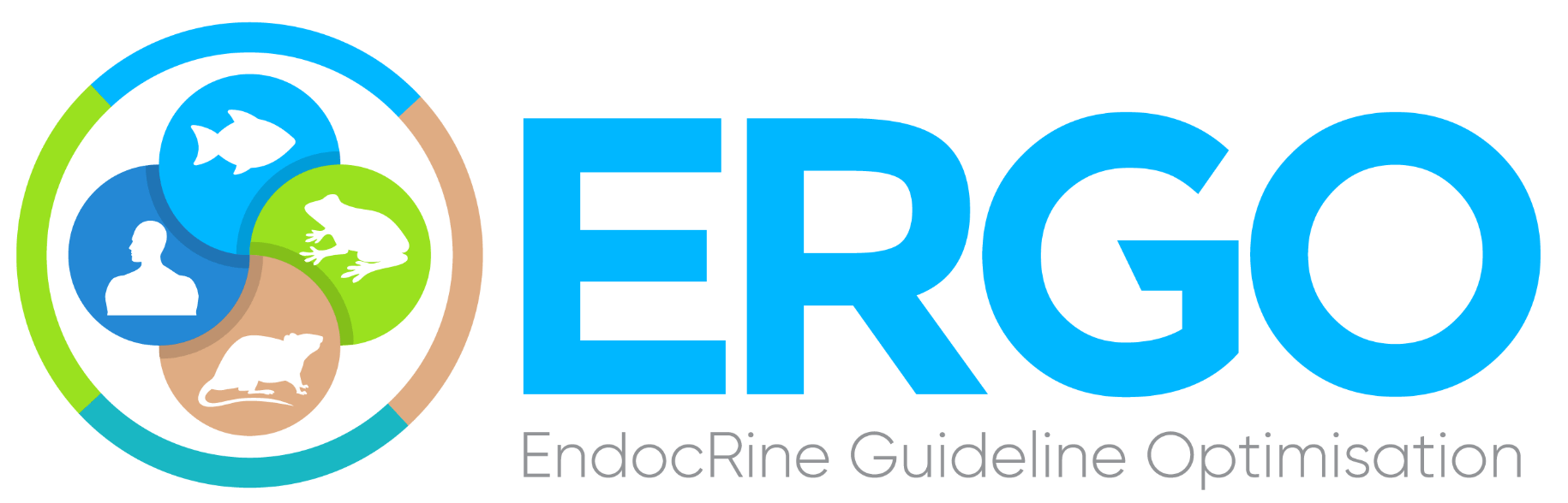 ergo project logo